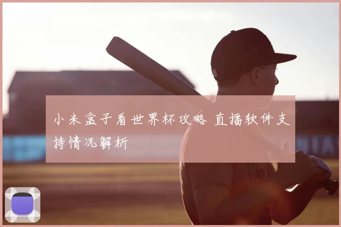 小米盒子看世界杯攻略 直播软件支持情况解析
