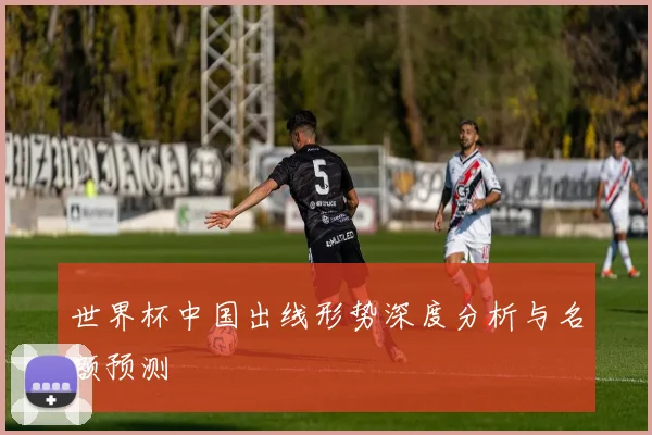 世界杯中国出线形势深度分析与名额预测