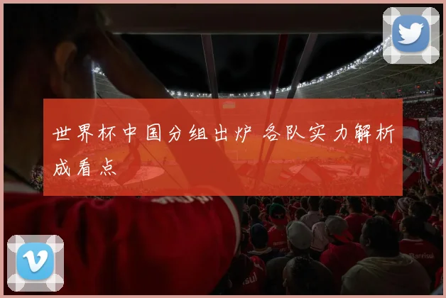 世界杯中国分组出炉 各队实力解析成看点