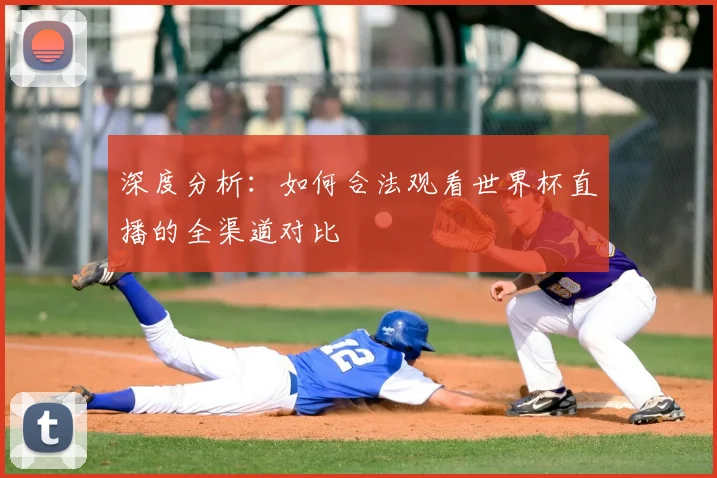 深度分析：如何合法观看世界杯直播的全渠道对比