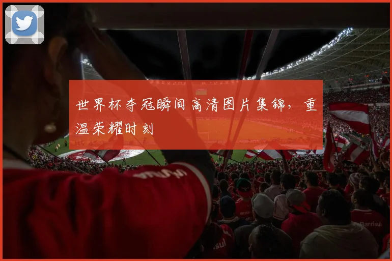 世界杯夺冠瞬间高清图片集锦，重温荣耀时刻