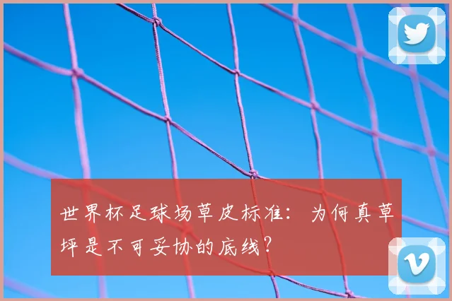 世界杯足球场草皮标准:为何真草坪是不可妥协的底线?