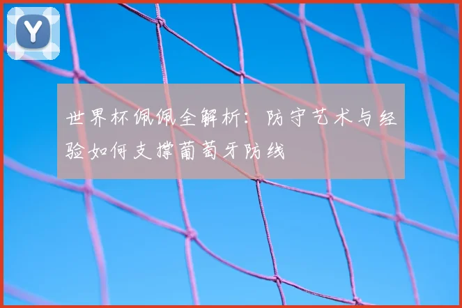 世界杯佩佩全解析：防守艺术与经验如何支撑葡萄牙防线