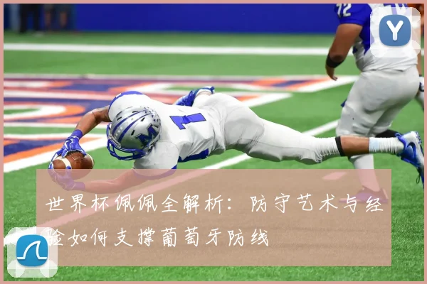 世界杯佩佩全解析:防守艺术与经验如何支撑葡萄牙防线