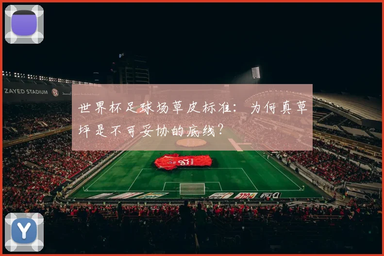世界杯足球场草皮标准：为何真草坪是不可妥协的底线？