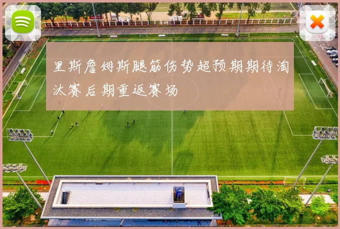 里斯詹姆斯腿筋伤势超预期期待淘汰赛后期重返赛场
