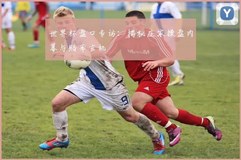 世界杯盘口专访：揭秘庄家操盘内幕与赔率玄机